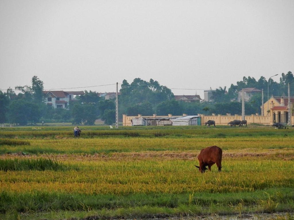 Viet Village Hotel Hanoj Exteriér fotografie